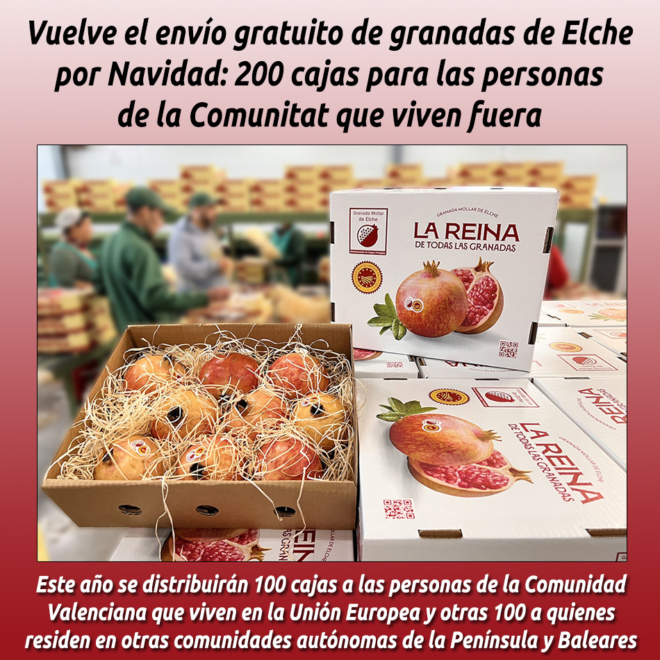 Vuelve el envío gratuito de granadas de Elche por Navidad: 200 cajas para las personas de la Comunitat que viven fuera
